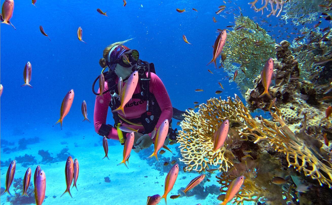 Buceadora rodeada de peces de colores y coral en el Mar Rojo, Egipto
