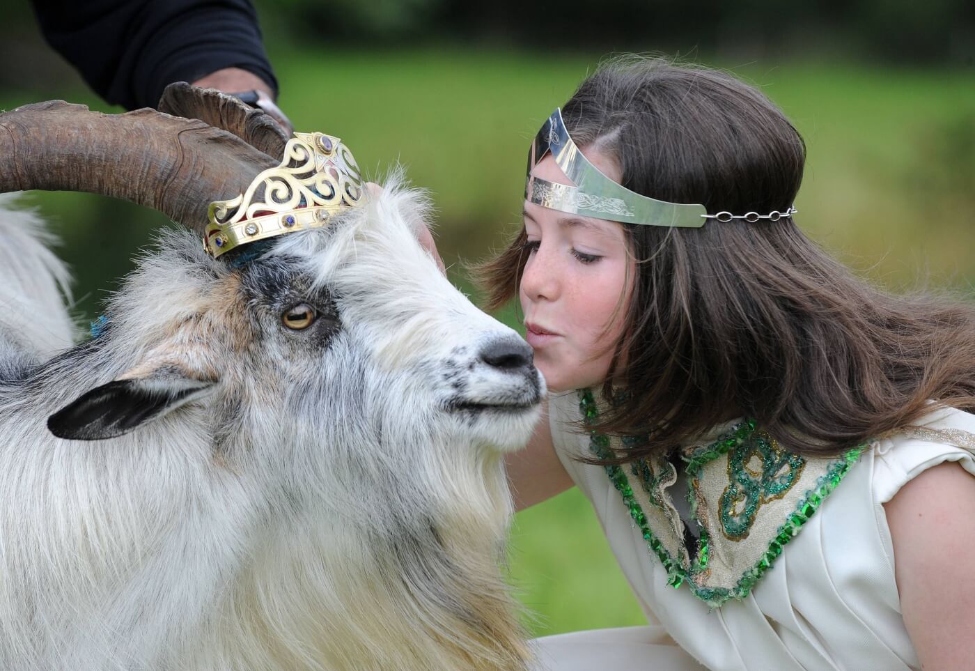 Cabra coronada como rey en el festival Puck Fair, una tradición en Killorglin en verano